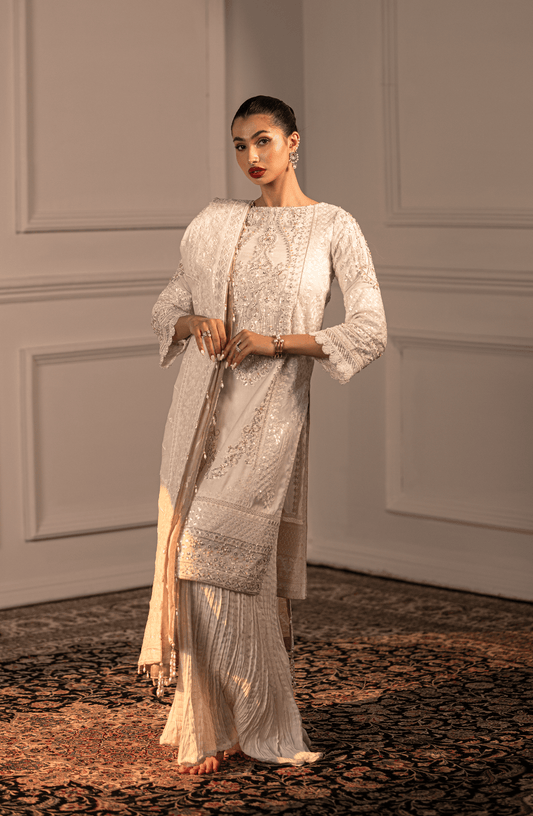 HSY formal Dresses from Pakistan